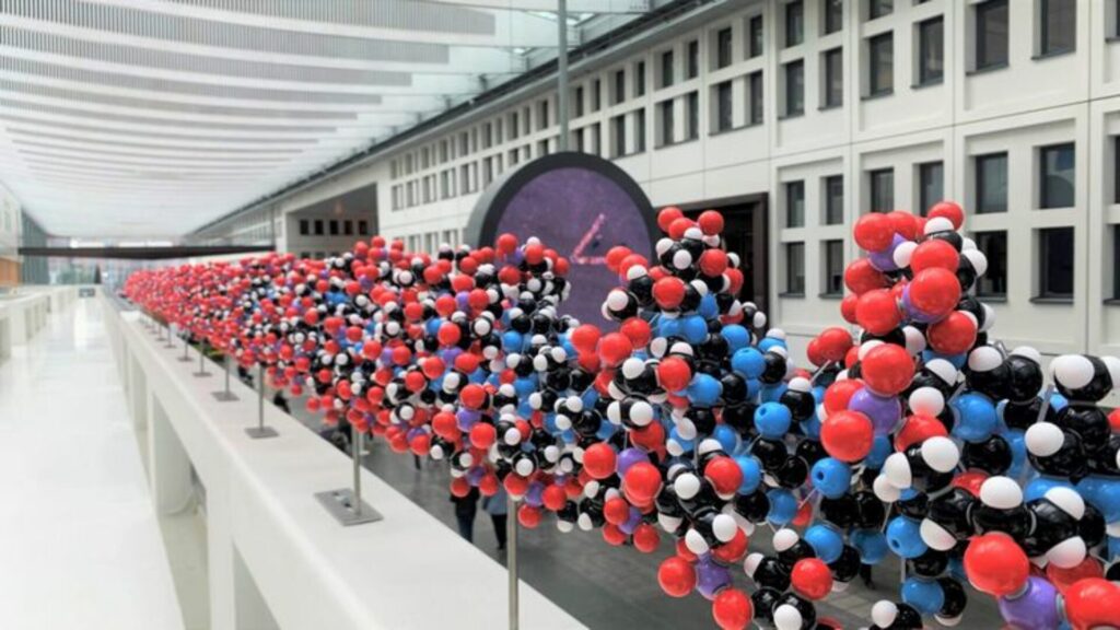 Erasmus Universitair Ziekenhuis DNA